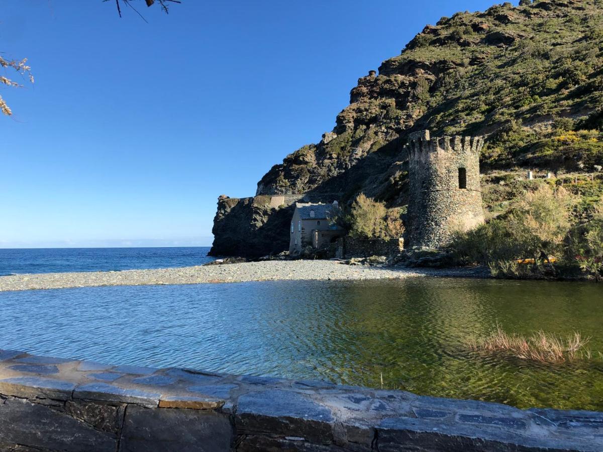 Cap Corse - Grande Maison Au Bord De Mer - Pmr Grillasca Bagian luar foto
