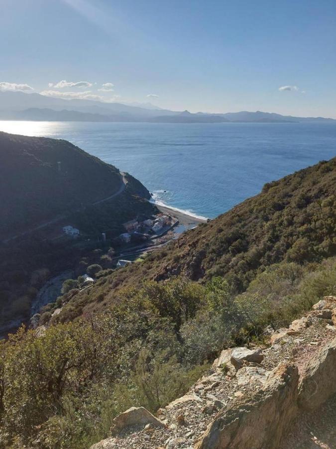 Cap Corse - Grande Maison Au Bord De Mer - Pmr Grillasca Bagian luar foto
